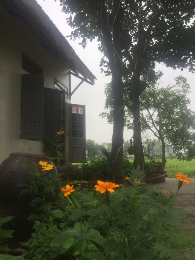 Hang Mua Happiness Homestay Ninh Binh Exterior photo